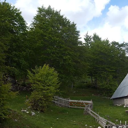 Villa Hawkeye Žabljak Exterior foto
