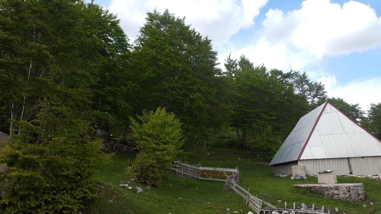 Villa Hawkeye Žabljak Exterior foto